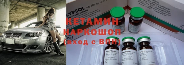 сатива Бородино