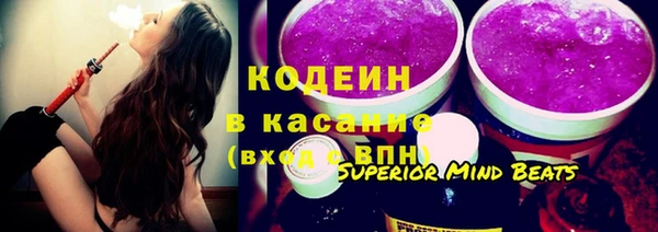 сатива Бородино