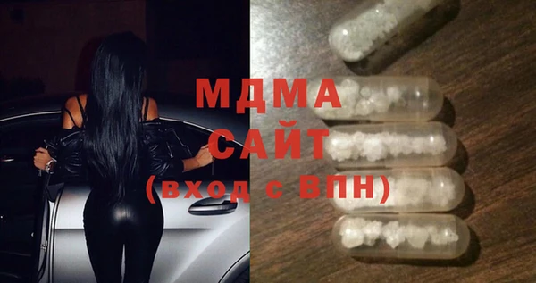 сатива Бородино