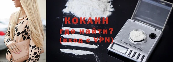 сатива Бородино