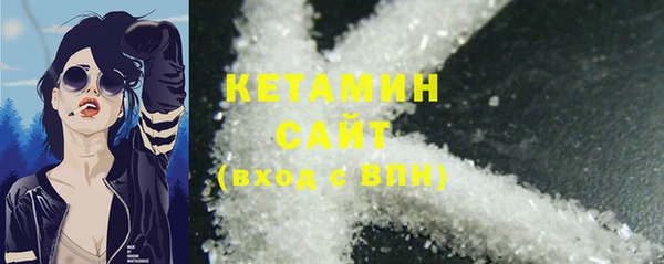 сатива Бородино