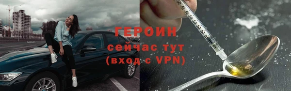 сатива Бородино