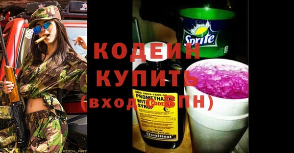 сатива Бородино