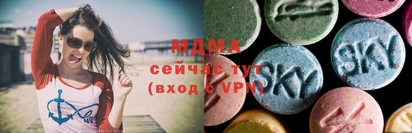 сатива Бородино