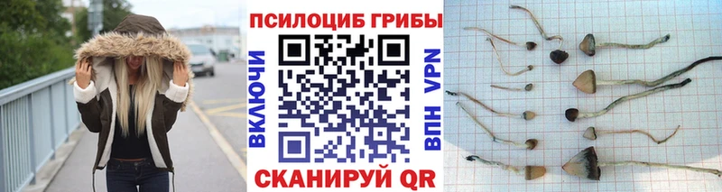 MEGA ссылки  Кизляр  Галлюциногенные грибы MAGIC MUSHROOMS 