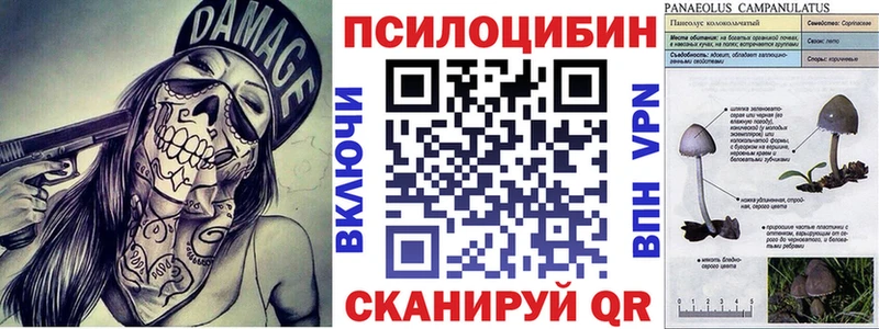 Псилоцибиновые грибы MAGIC MUSHROOMS Кизляр